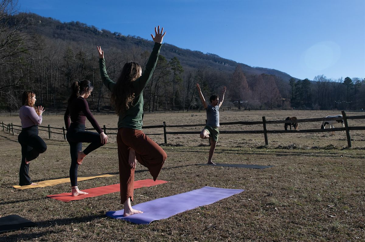 Mountainside Yoga