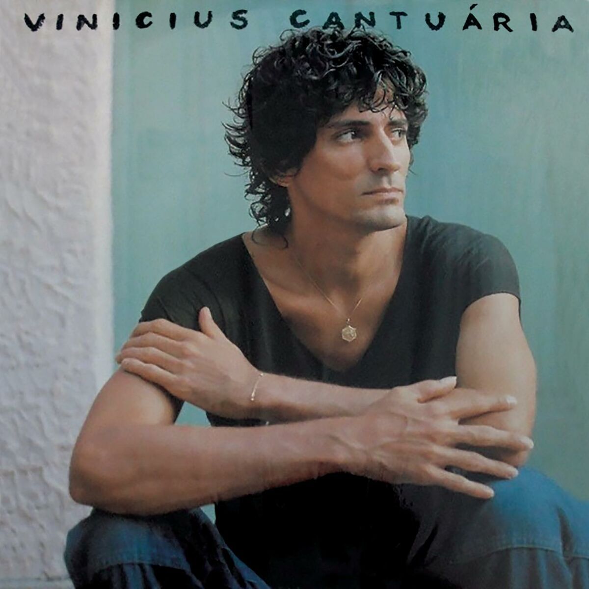 Vinicius Cantuaria