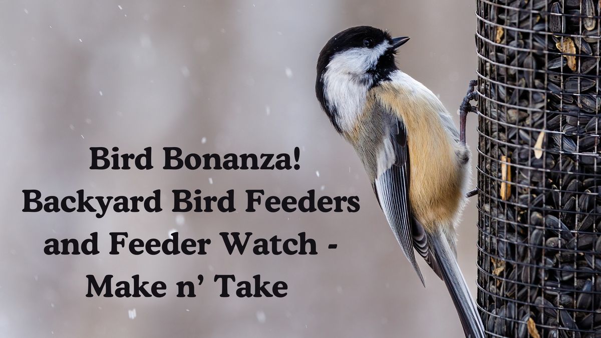  Bird Bonanza! Backyard Bird Feeders and Feeder Watch - Make n\u2019 Take