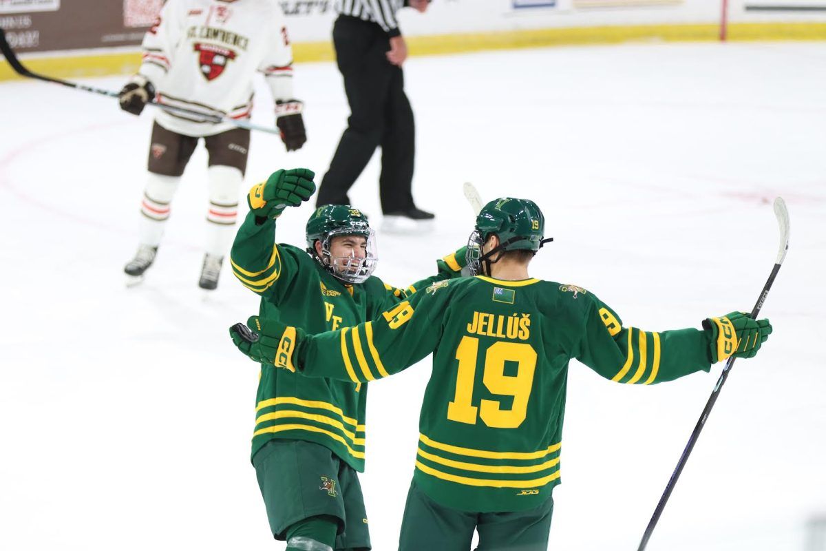 St. Lawrence Saints at Vermont Catamounts Mens Hockey