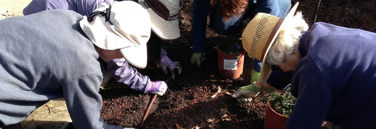 November Tour of Elizabeth Gamble Garden