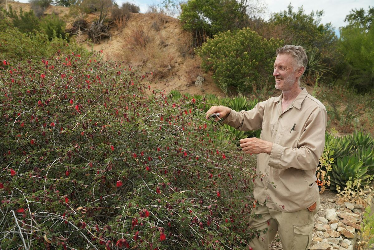 Native Plant Winter Maintenance Basics with Erik Blank