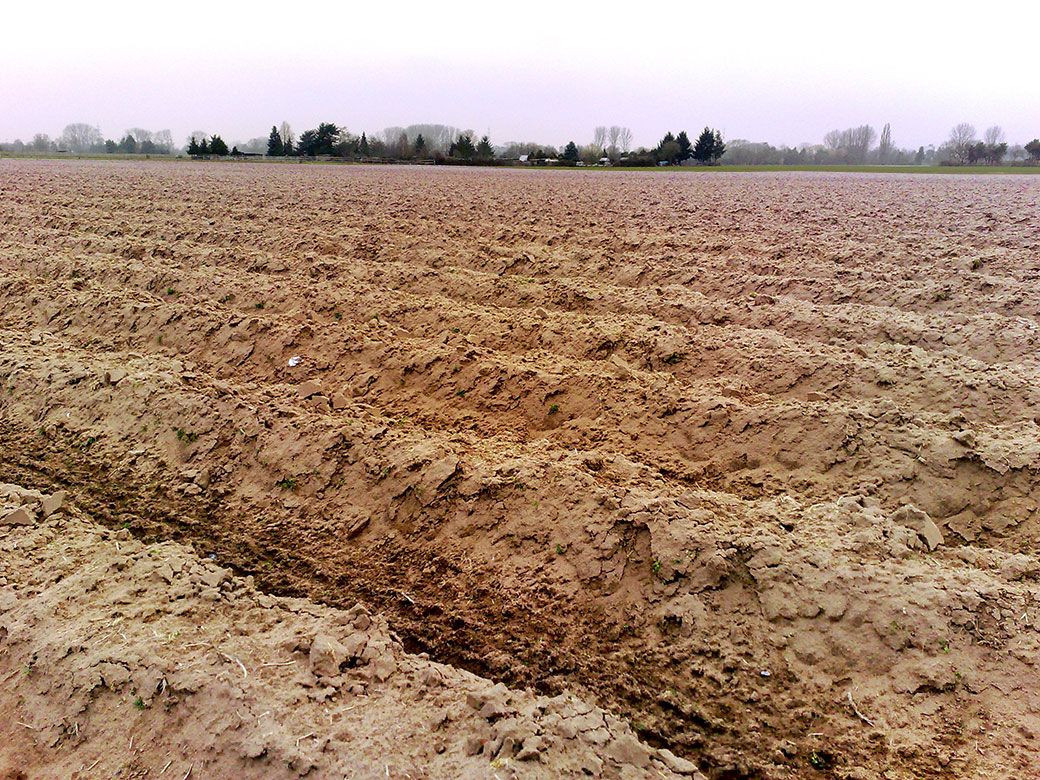 Conf\u00e9rence sp\u00e9ciale dans le cadre des jeudis de l'environnement