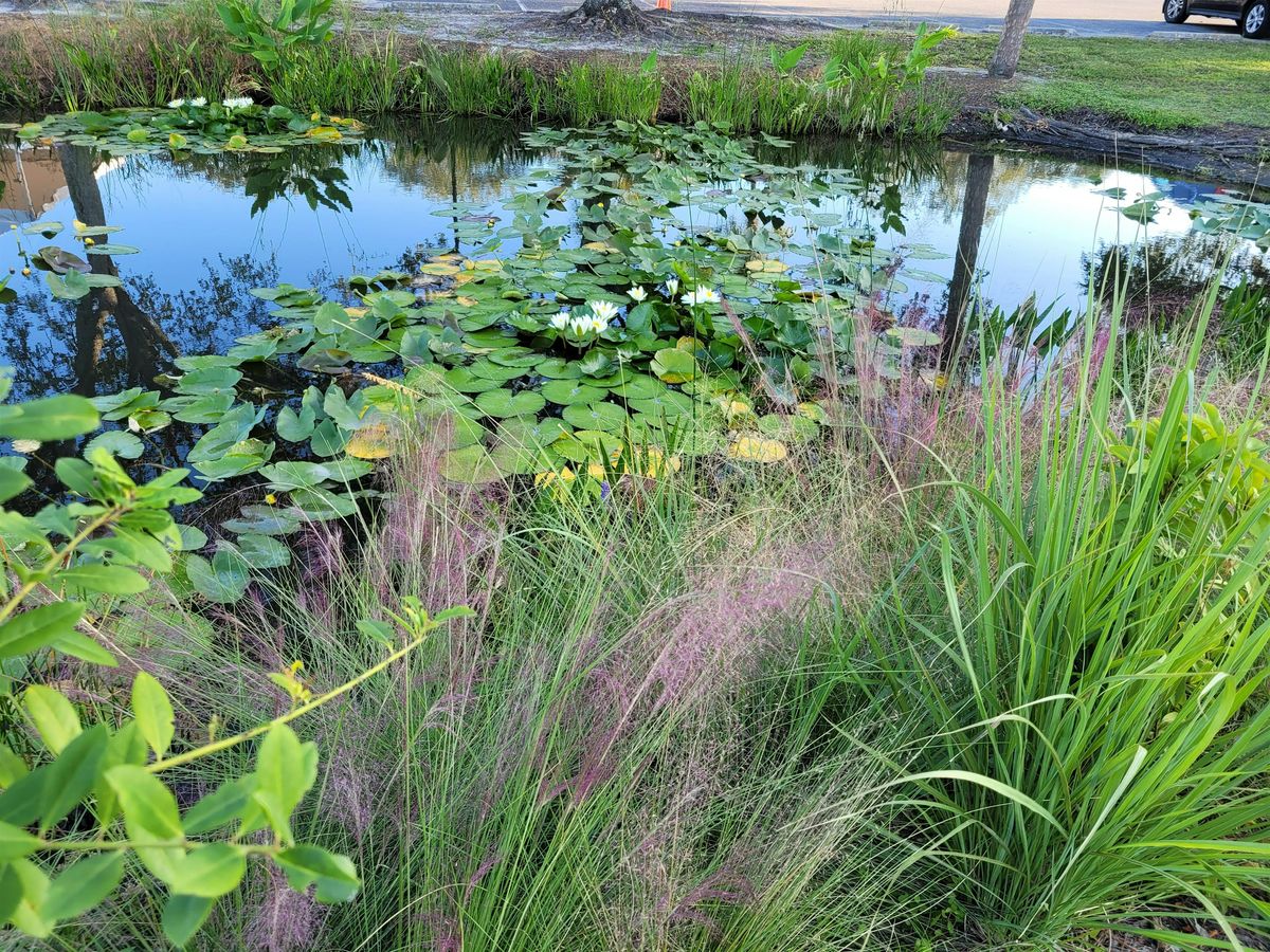 Introduction to LAKEWATCH