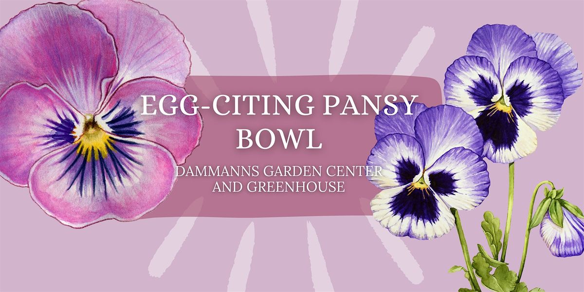 Egg-Citing Pansy Bowl