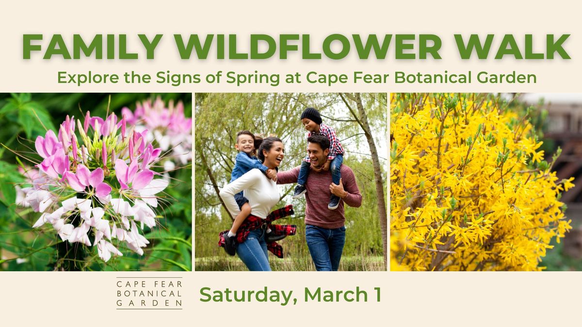 Family Wildflower Walk - Signs of Spring