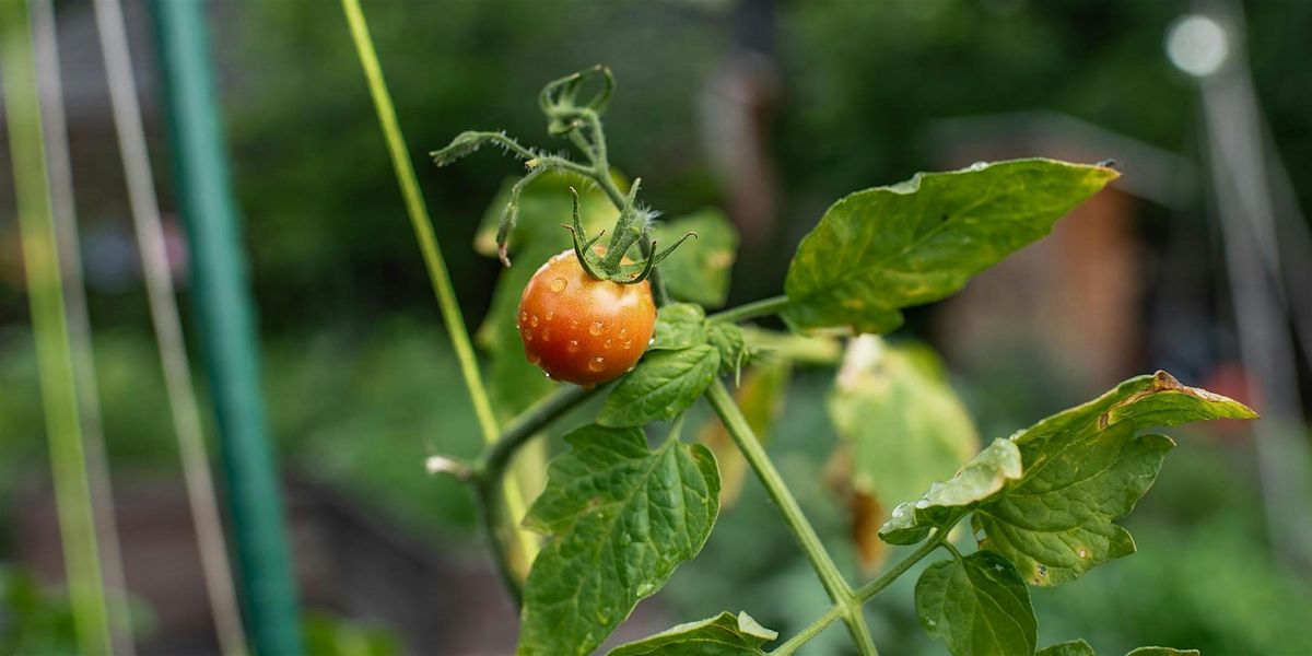 Local Food System Planning Resource Open House