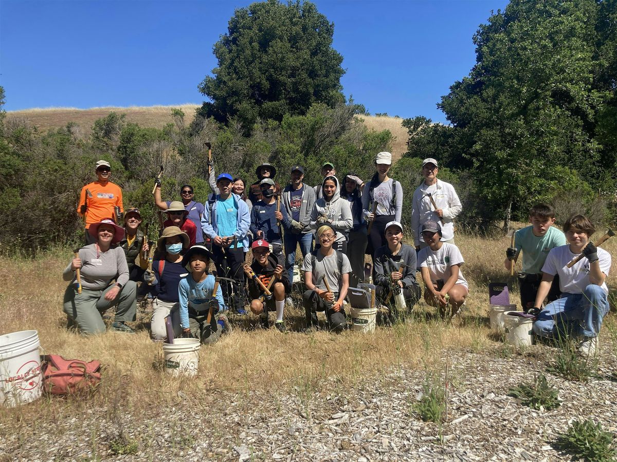 Volunteer Outdoors in Palo Alto at Pearson-Arastradero Preserve