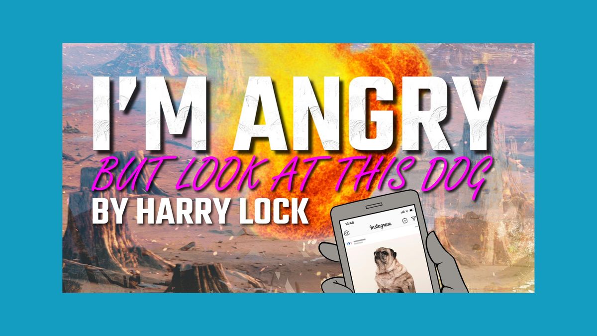 I'm Angry but look at this dog - By Harry Lock