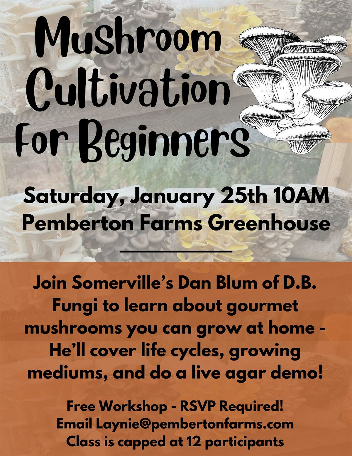 Mushroom Cultivation for Beginners