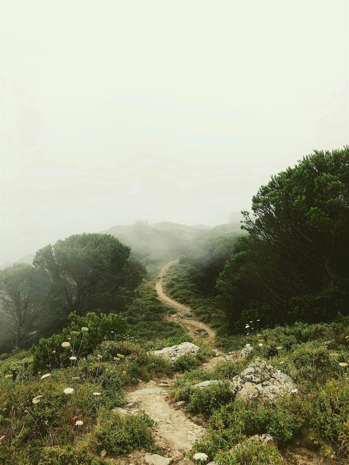 Journeys of the Spirit