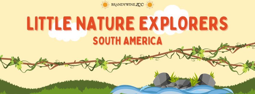 Little Nature Explorers Session 18