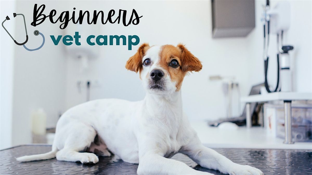 Beginner's Vet Camp Session 2