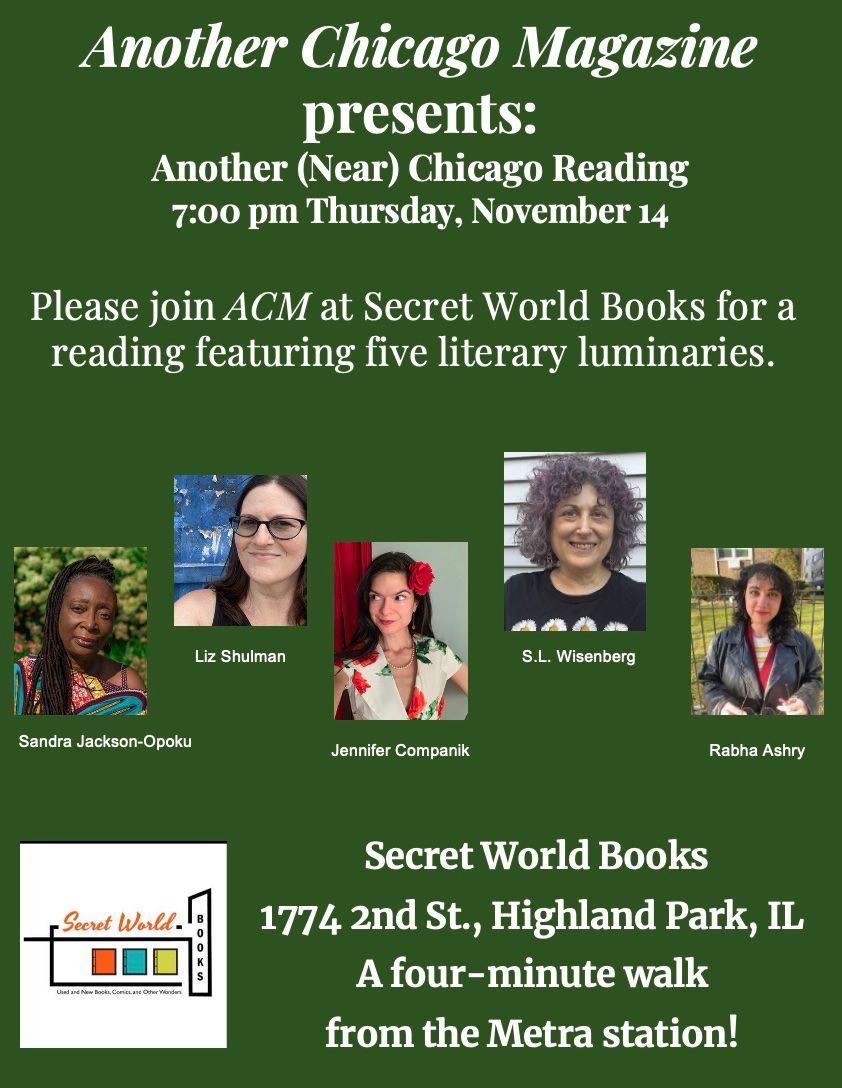 Another Chicago Magazine reading at Secret World Books!