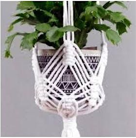 Make a Macrame Plant Hanger with Lucia Alber