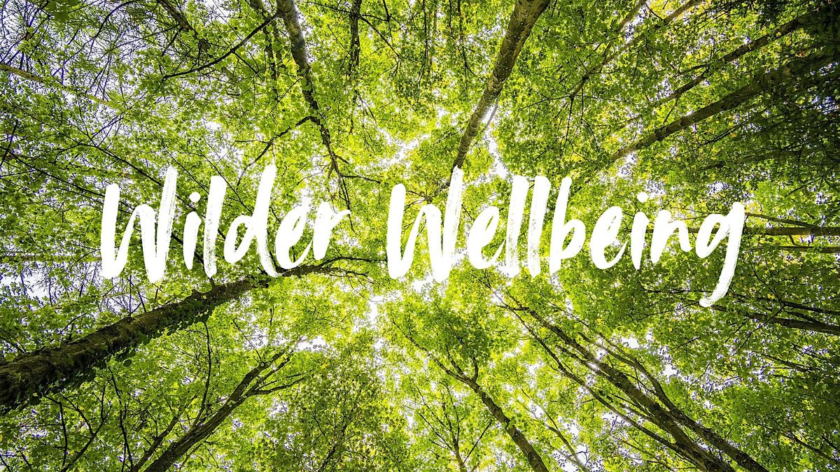 Nature Connection Walk (Women Only)