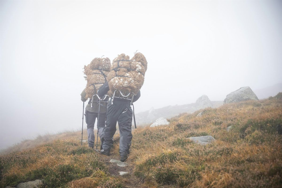 Conservation in Action: A Walk to Millstone Mountain