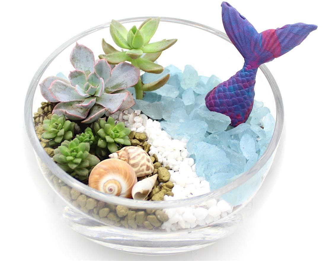 Plant Nite: Make a Succulent Terrarium