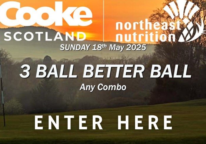 COOKE SCOTLAND\/NORTHEAST NUTRITION 3 BALL BETTER BALL OPEN