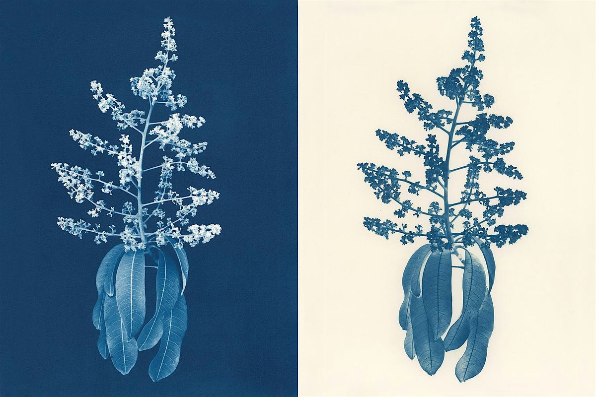 Deering Estate Artist-in-Residence Season Finale Exhibition