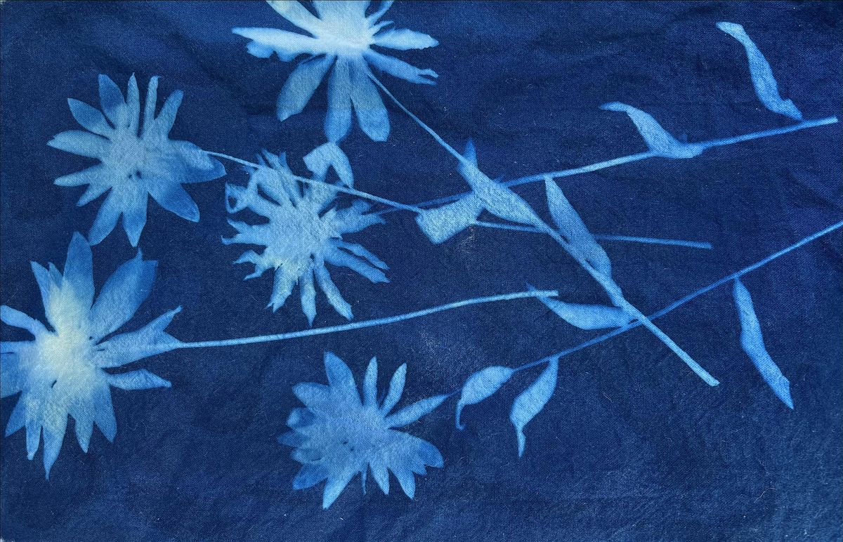 Floral Cyanotypes