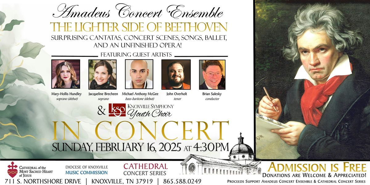 Cathedral Concert: Amadeus Concert Ensemble