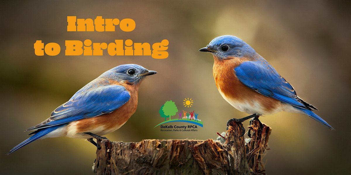 Intro to Birding