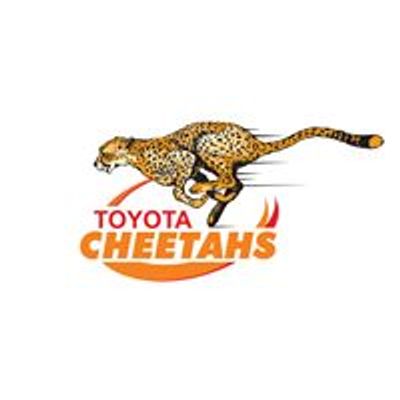 Cheetahs Rugby