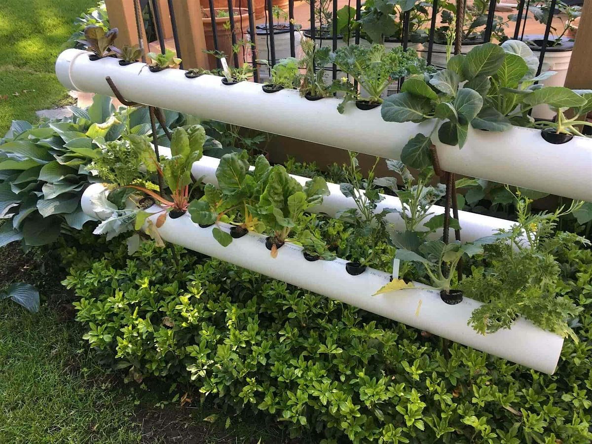 Hydroponic Gardening