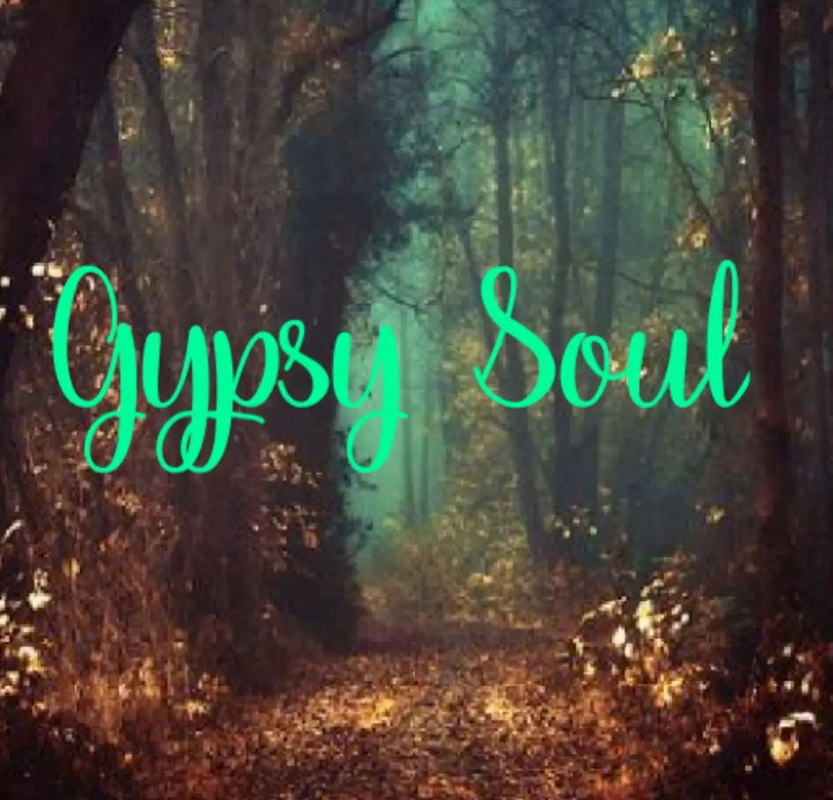 Saturday Night Live: with musical guests \u201cGypsy Soul\u201d!!!