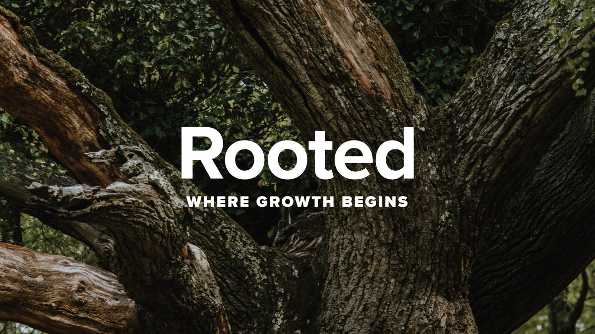 Rooted