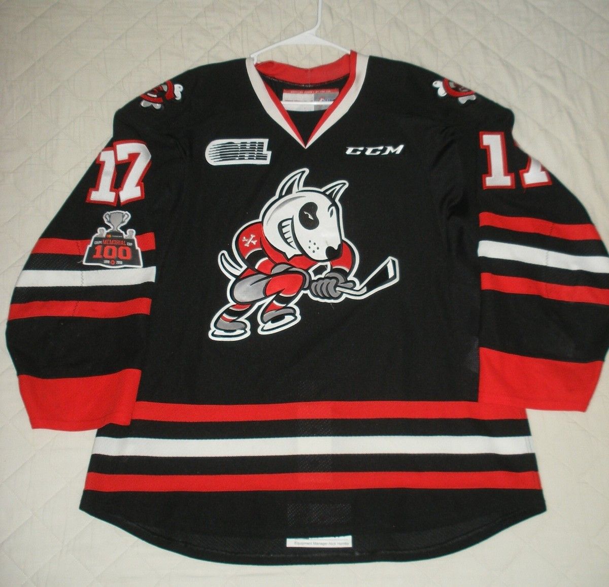 Ottawa 67s vs. Niagara Icedogs