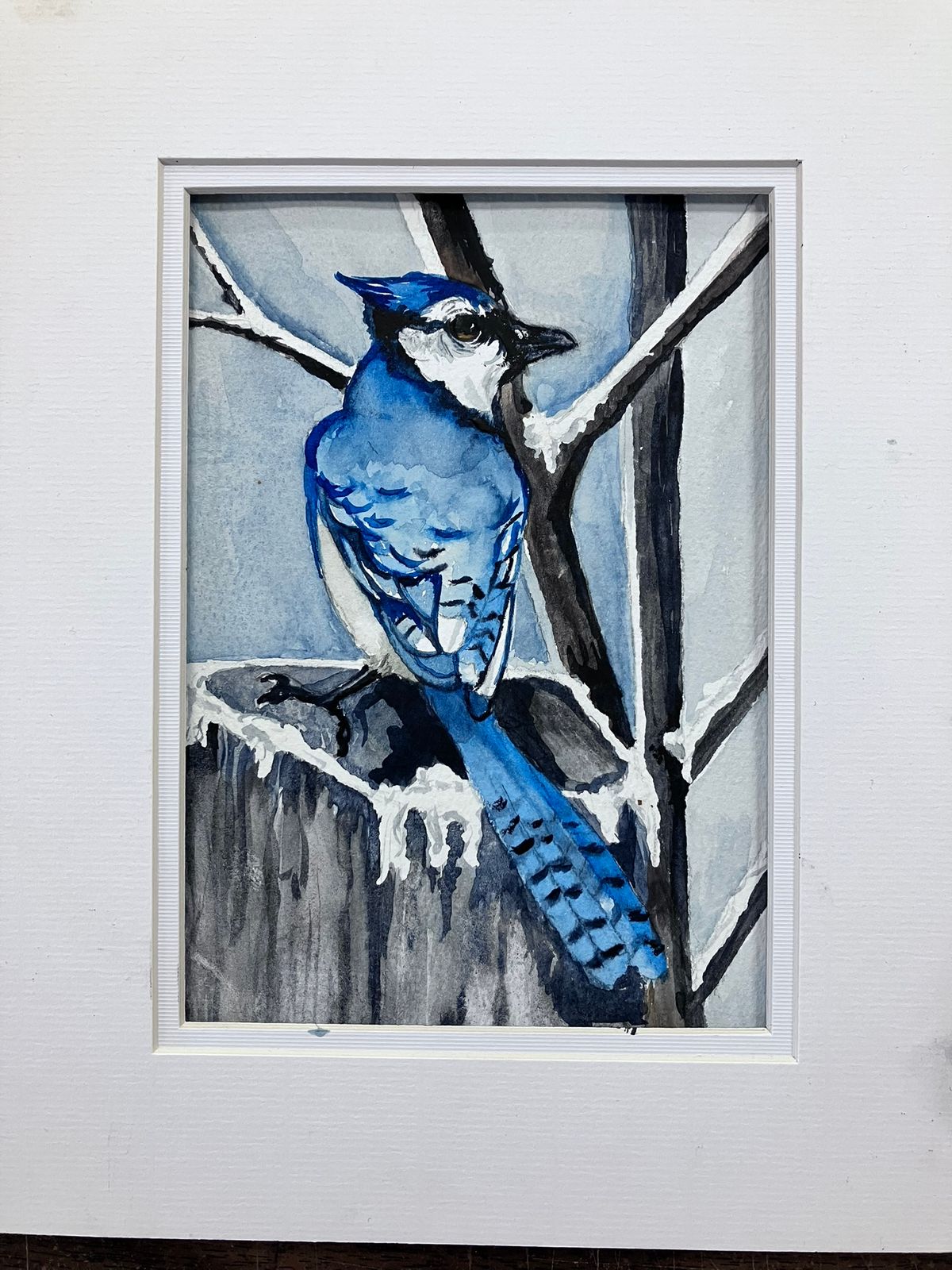 1-12-24 Blue Jay Watercolor Painting Event