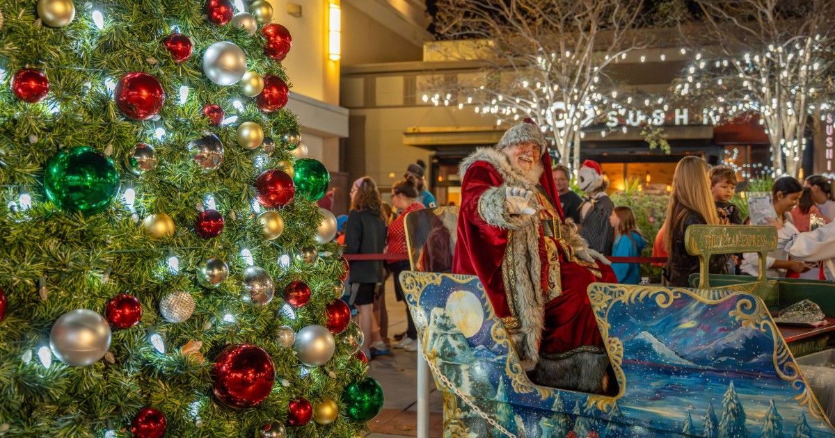 Annual Tree Lighting Ceremony