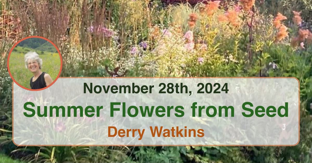 Summer Flowers from Seed - Derry Watkins