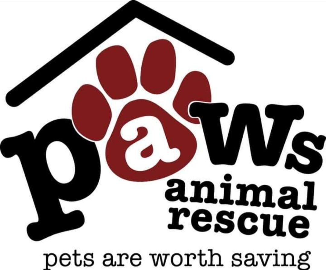 \ud83d\udc3e Find Your Furry Friend at the PAWS Animal Rescue Adoption Event! \ud83d\udc3e-10