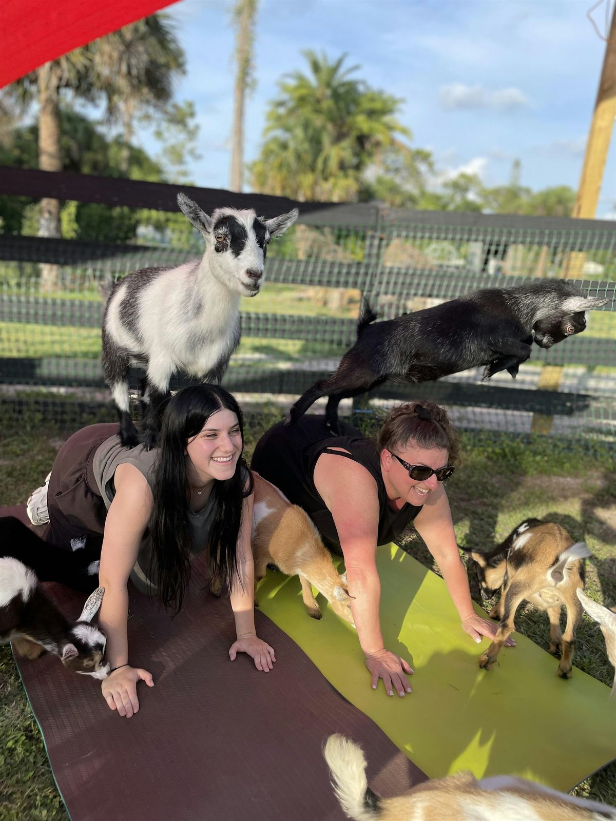 Fun Goat Yoga with Baby Goats, Farm Tour, Music