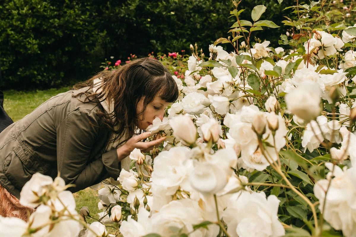 The Magic of Kitchen Herbalism w\/ Crystal