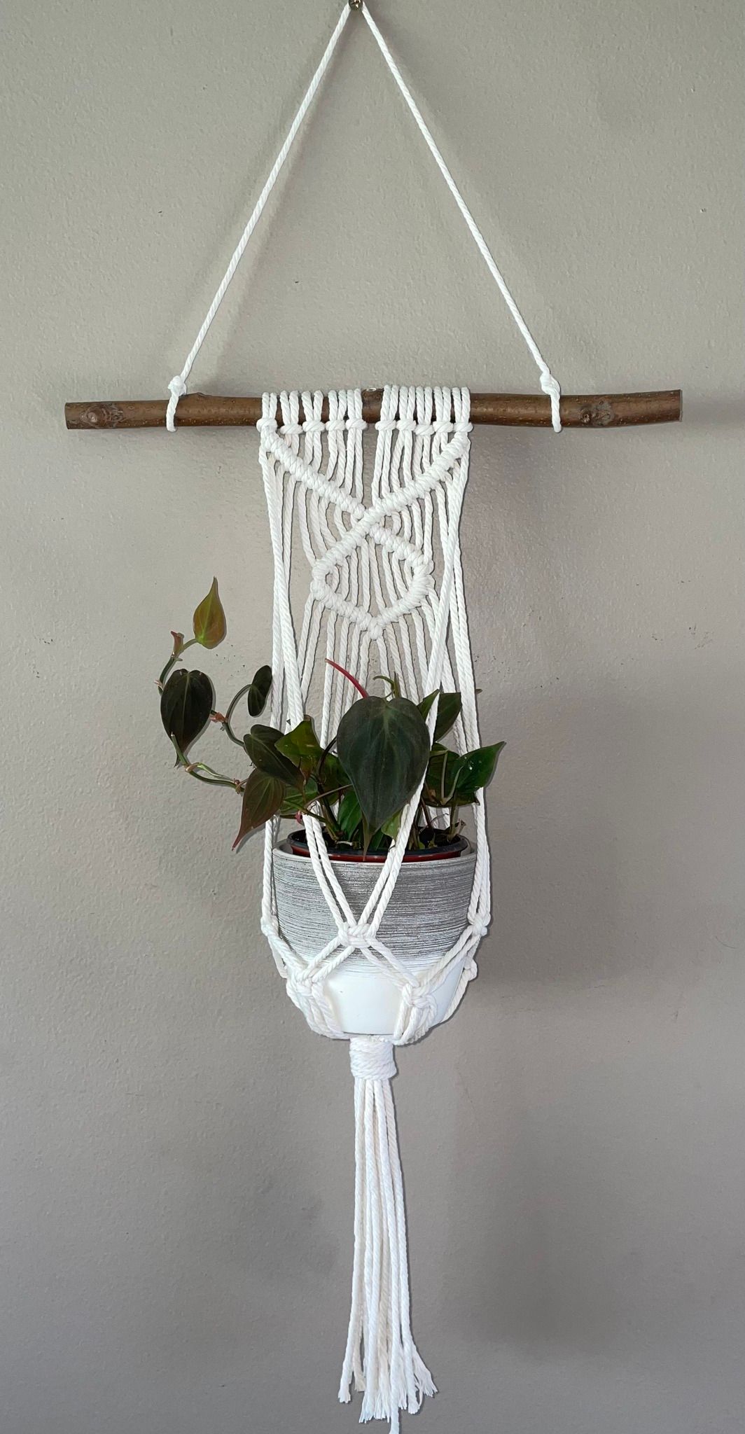 Macrame Plant Hanger Workshop with Wild Daisy Creative