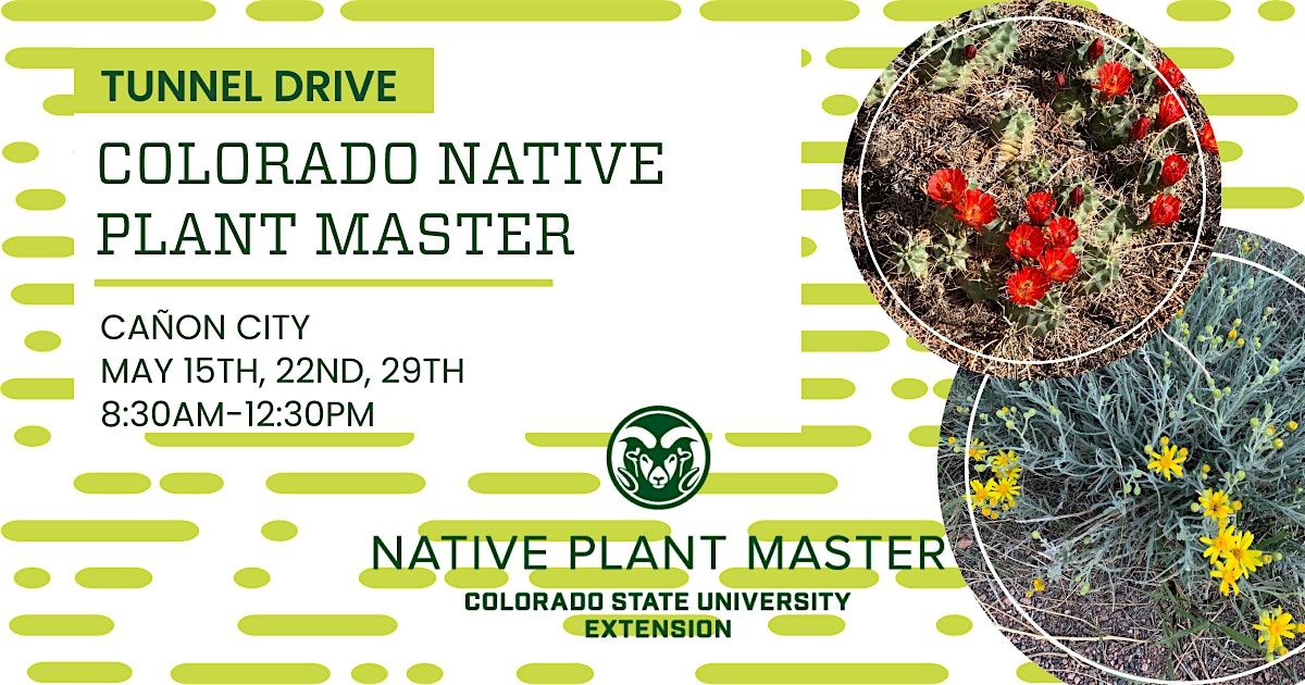 Colorado Native Plant Master: Tunnel Drive