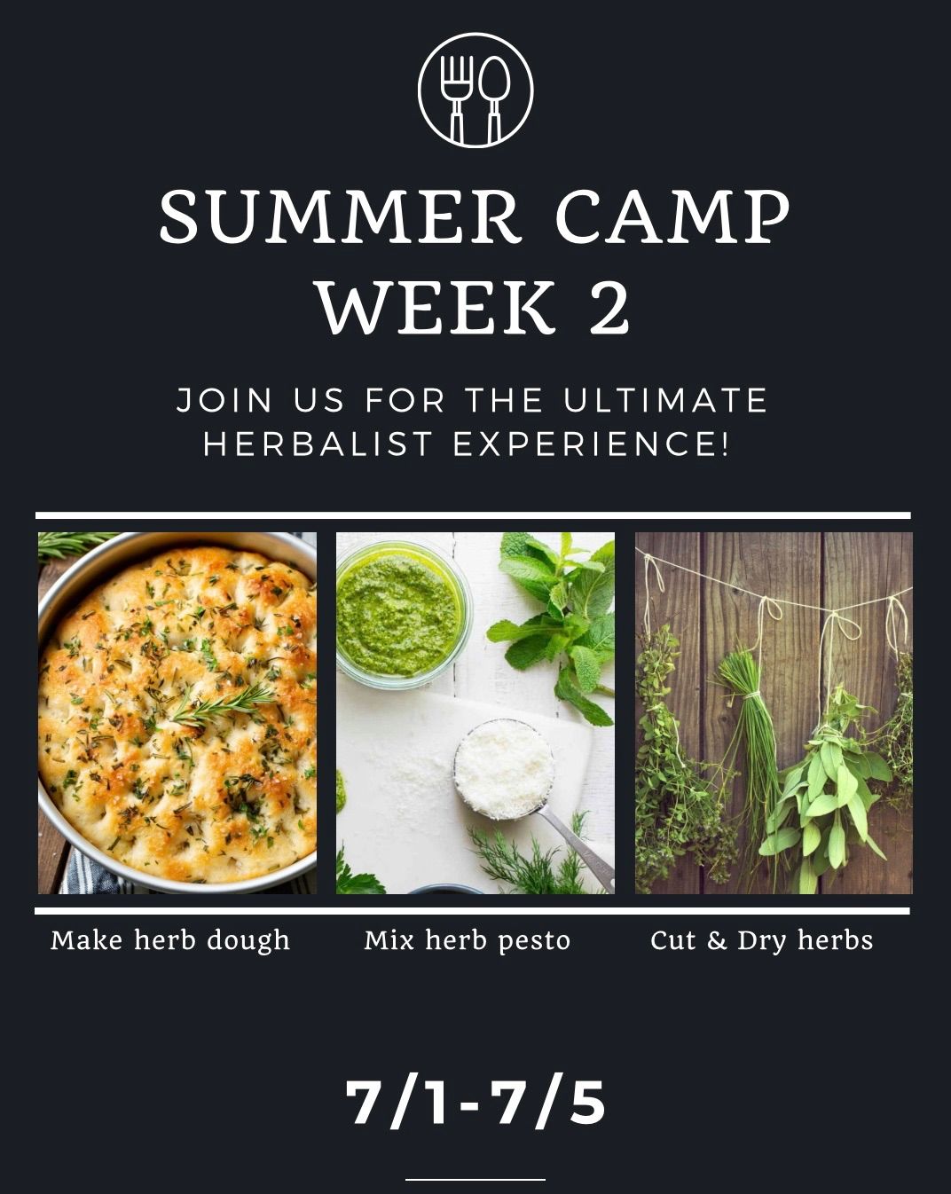 Summer Camp- Week 2
