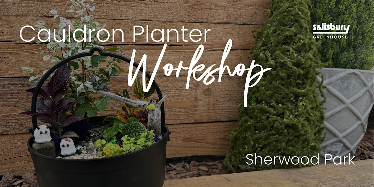 DIY Cauldron Planter | KIDS Workshop | Sherwood Park