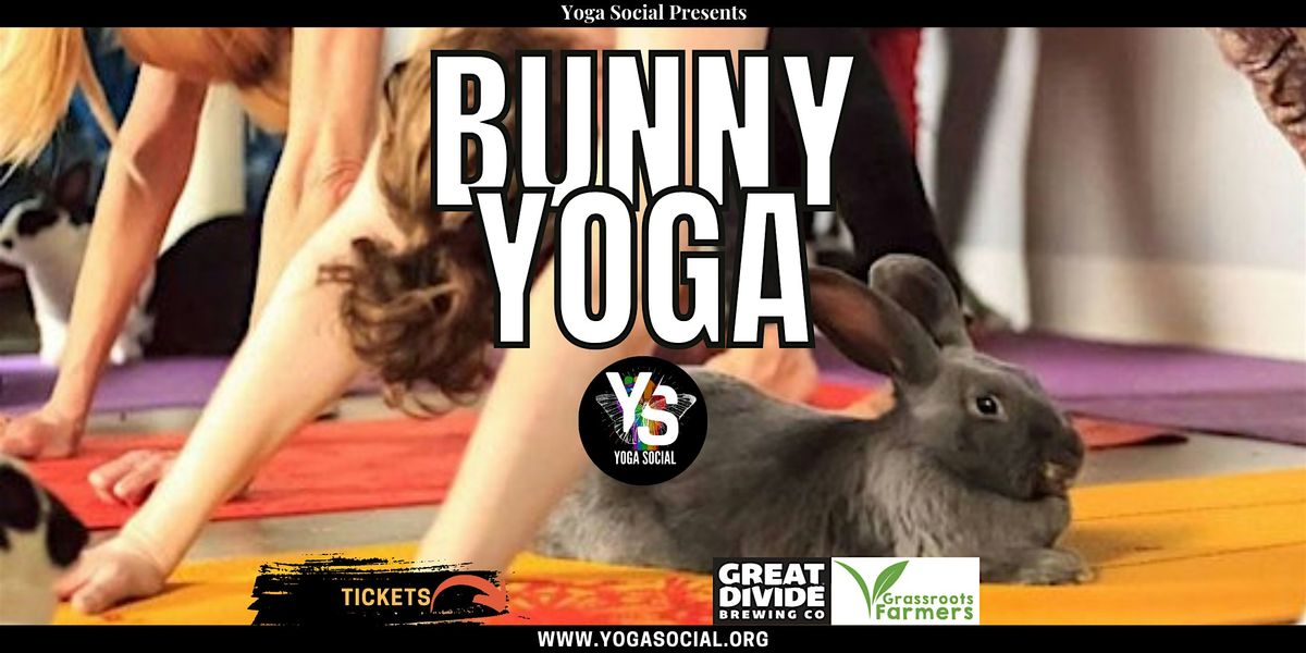 Bunny Yoga at Great Divide - Barrel Room in RiNo Arts District