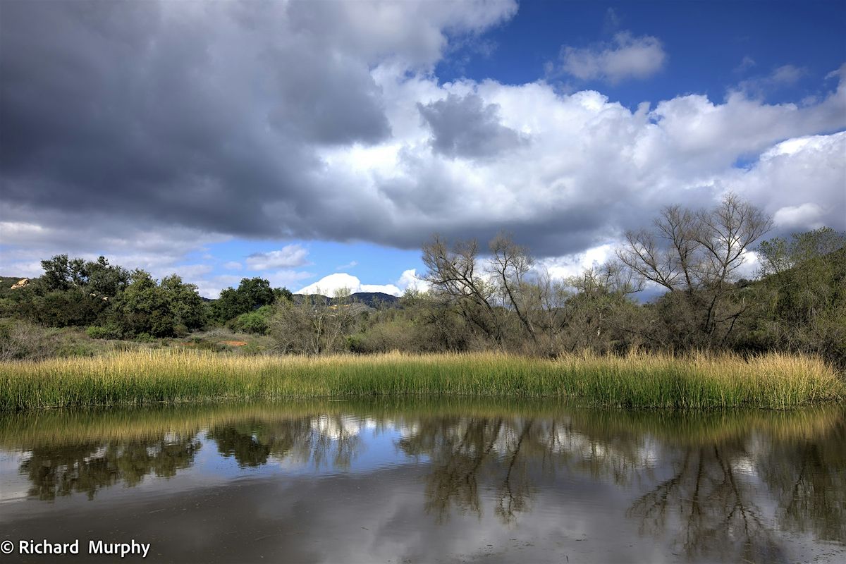 Welcome to the Watershed - Hike on the Sardina Preserve and Photo Tips!