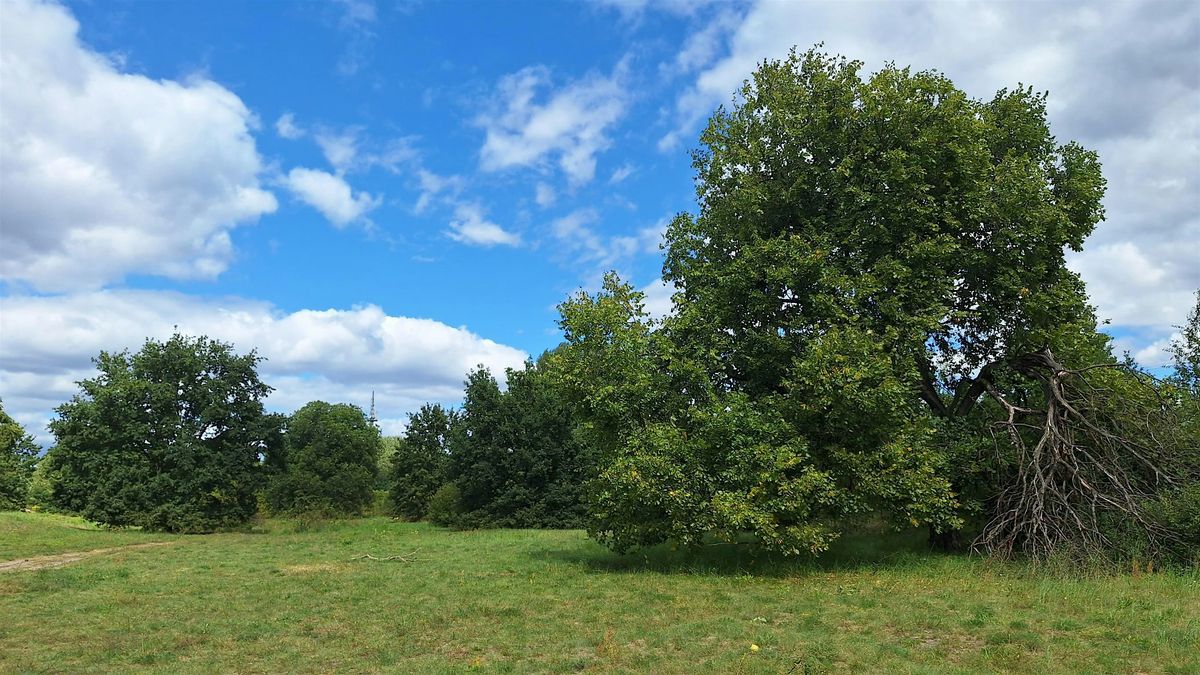 "Vision und Klarheit" - ein Coaching-Spaziergang