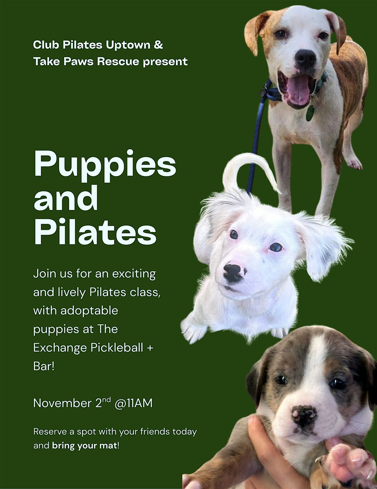 Puppies & Pilates