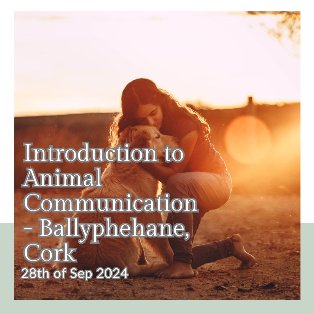 Intro to Animal Communication (with a focus on transitions and trauma)- Cork, Ireland