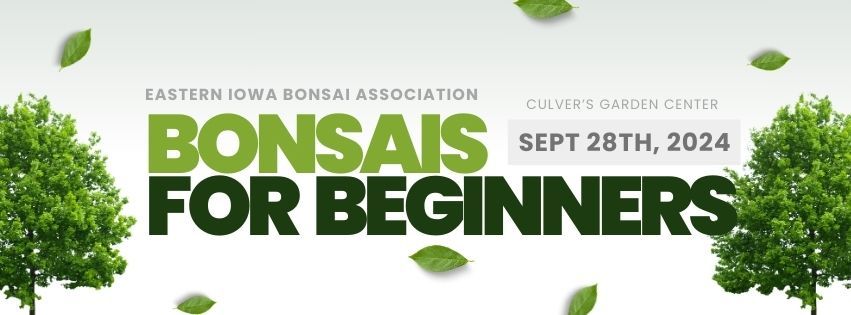 Bonsais for Beginners