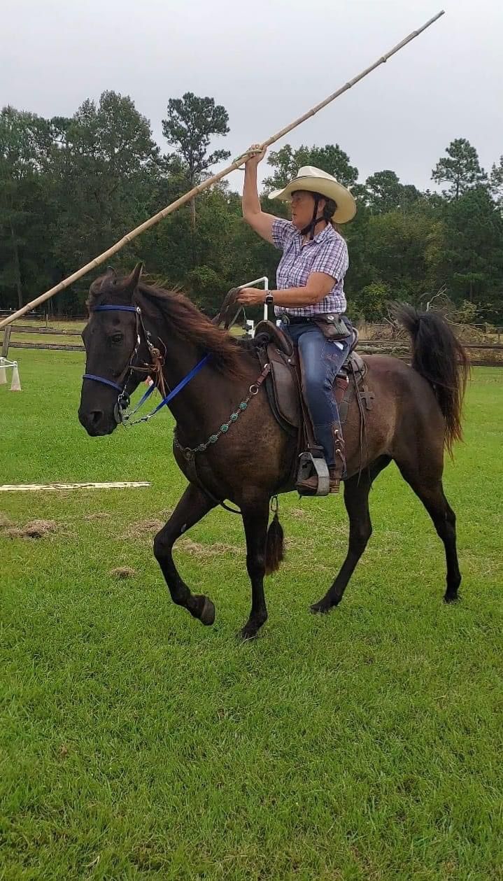 Working Equitation with Megan Malan