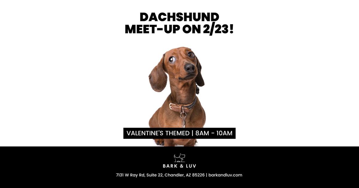 February Dachshund Meet-Up!